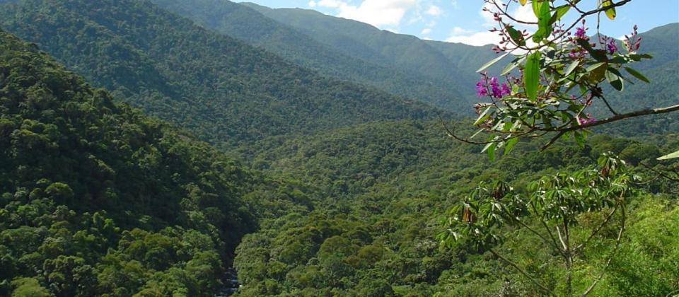 איטאטיאיה Stay In Itatiaia מראה חיצוני תמונה